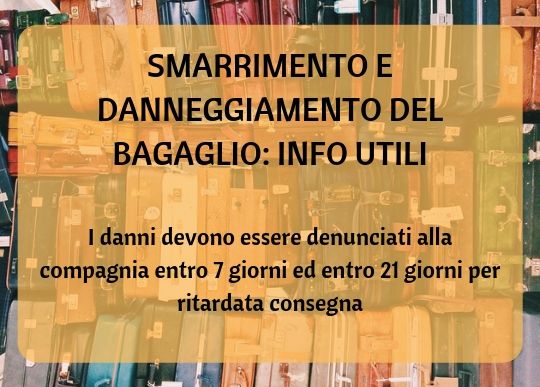 Smarr Bagaglio 3.jpg